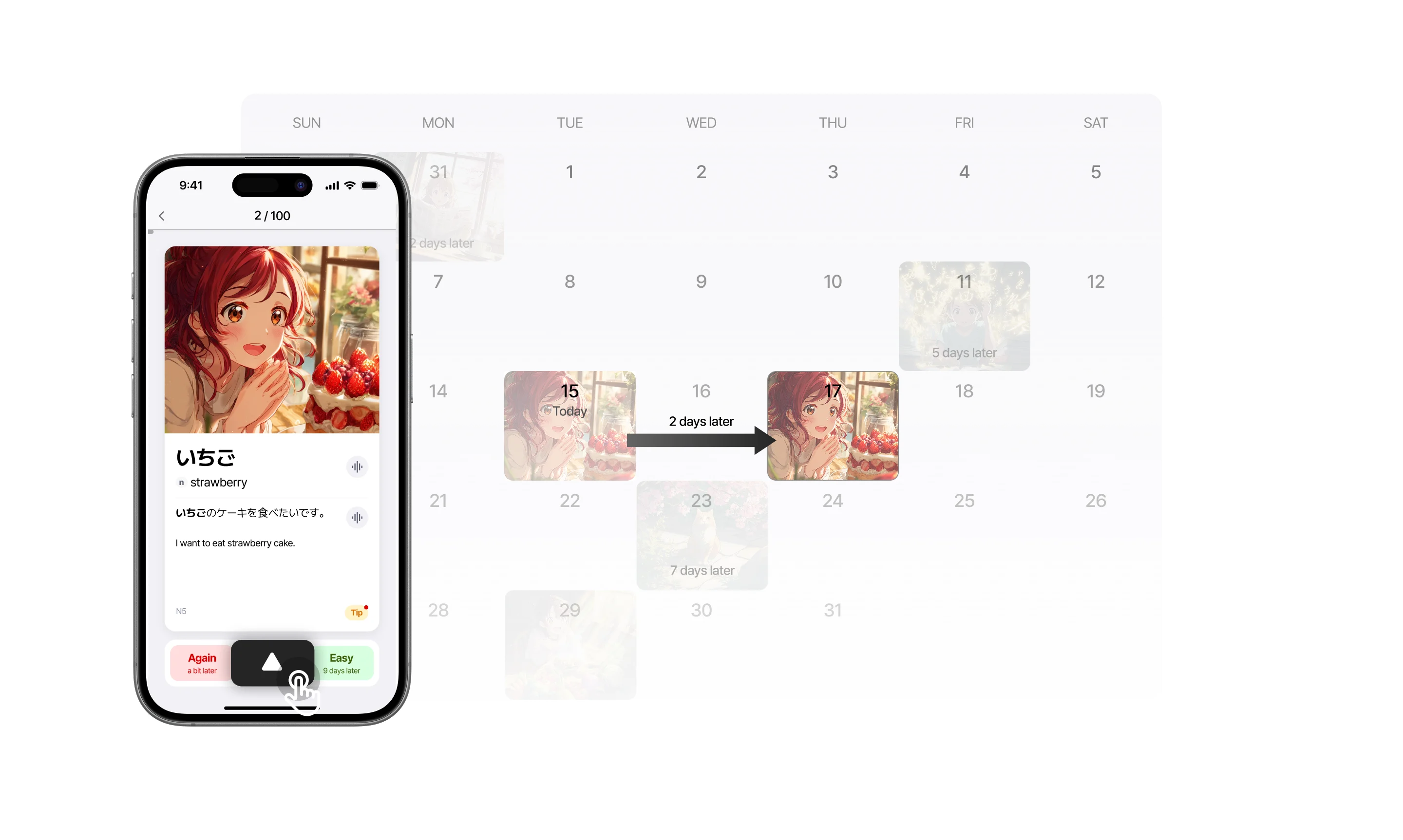 Schedule Section Background
